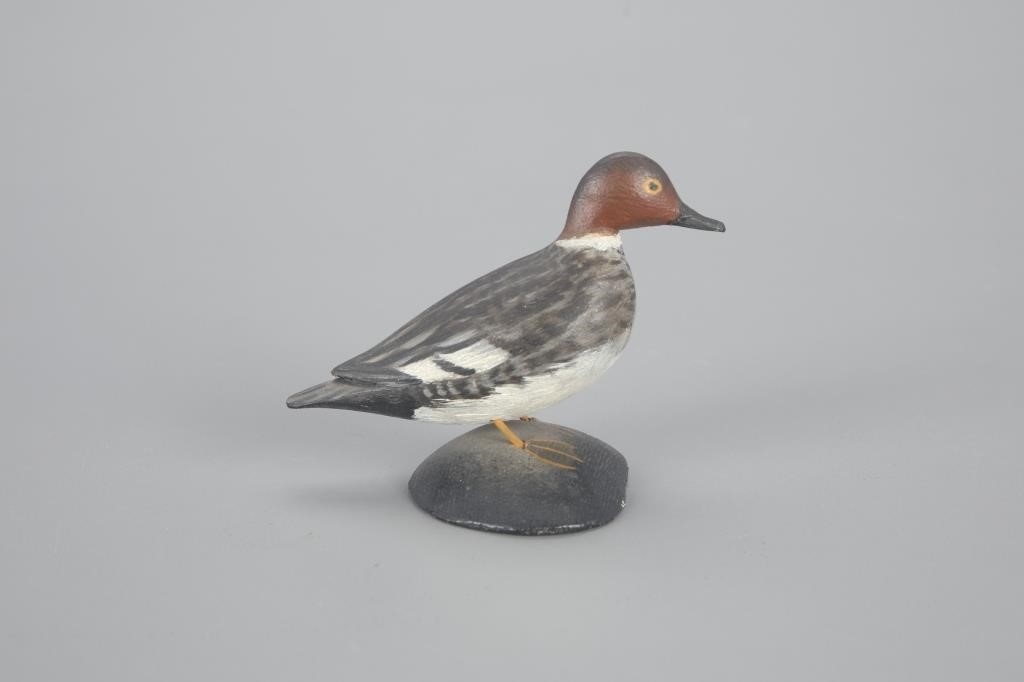 MINIATURE GOLDENEYE HENA. Elmer