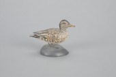 MINIATURE GREEN-WINGED TEAL HE