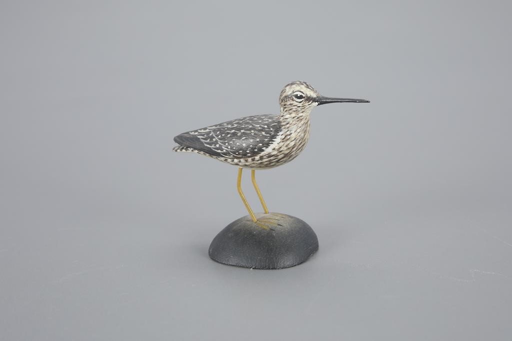 MINIATURE LESSER YELLOWLEGSA. Elmer