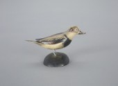 MINIATURE LONG-TAILED DRAKEA.
