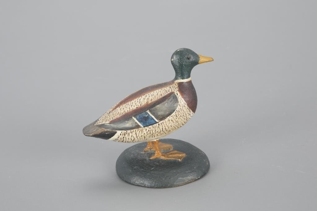 MINIATURE MALLARD DRAKELevi W.