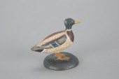 MINIATURE MALLARD DRAKELevi W.