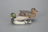 MINIATURE MALLARD PAIRThe Ward