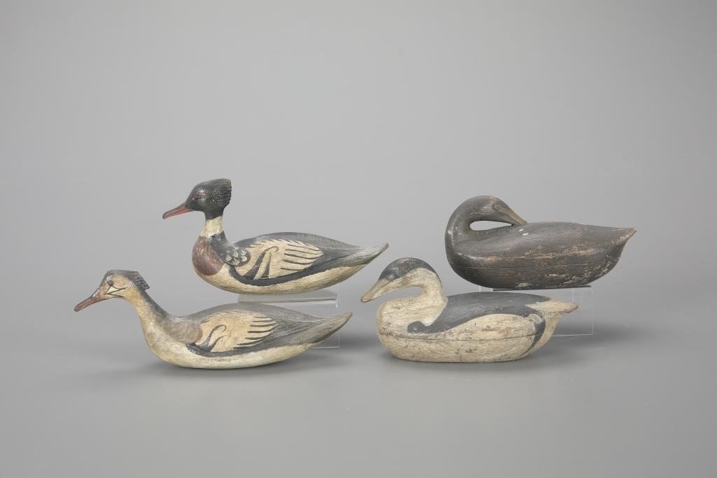 MINIATURE MERGANSER AND EIDER