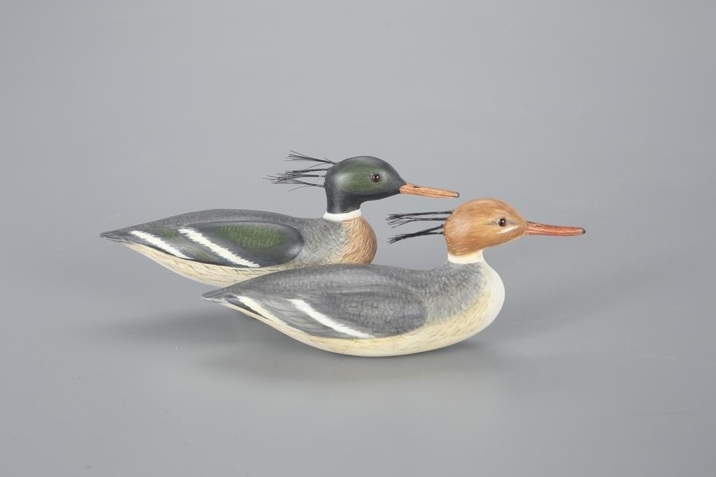 MINIATURE MERGANSER PAIRSteve