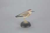 MINIATURE PECTORAL SANDPIPERA.