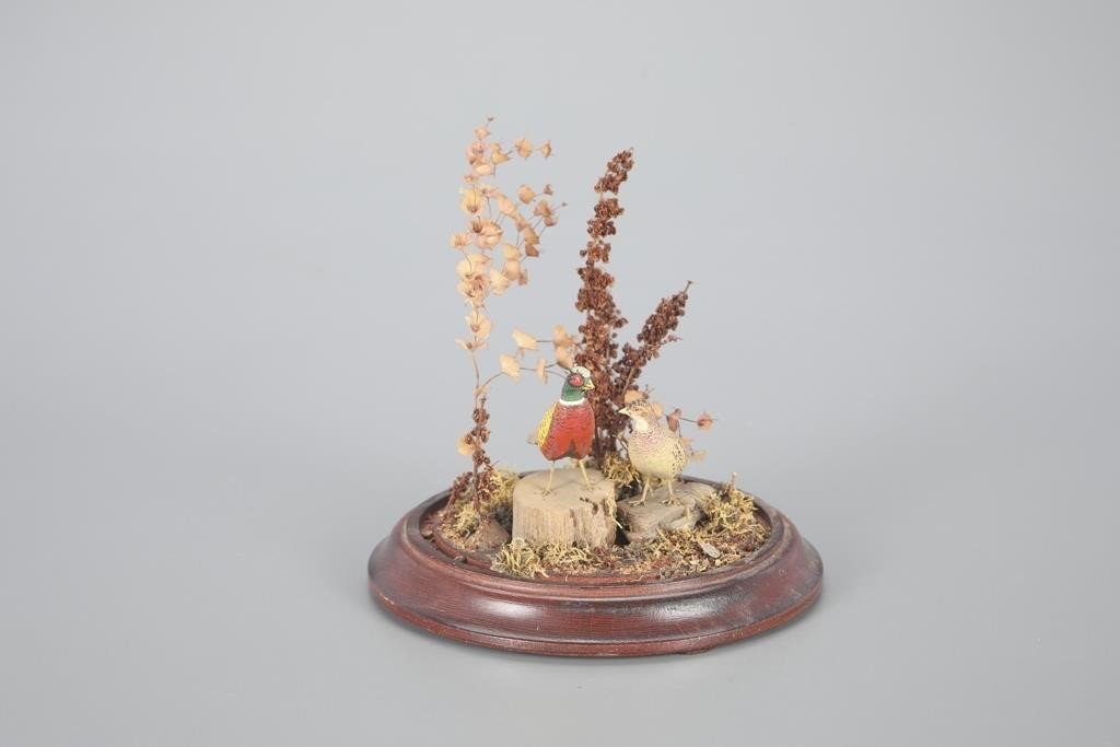 MINIATURE PHEASANT PAIRc. 1960 case