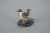 MINIATURE PINTAIL PAIRA. Elmer
