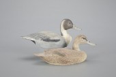 MINIATURE PINTAIL PAIRBenjamin