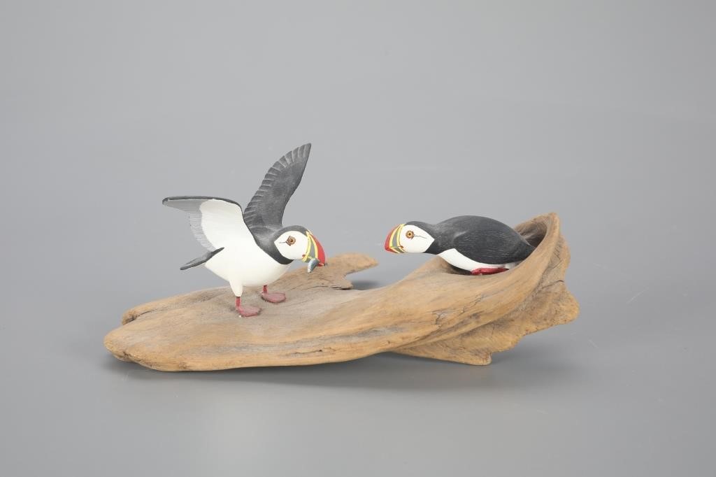 MINIATURE PUFFINSD.G. Mills