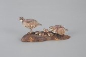 MINIATURE QUAIL FAMILYAllen J.
