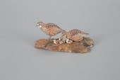 MINIATURE QUAIL FAMILYAllen J.