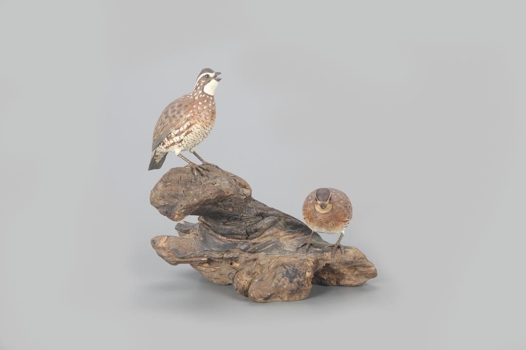 MINIATURE QUAIL PAIRJack & Bette