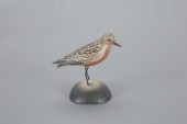 MINIATURE RED KNOTA. Elmer Cro