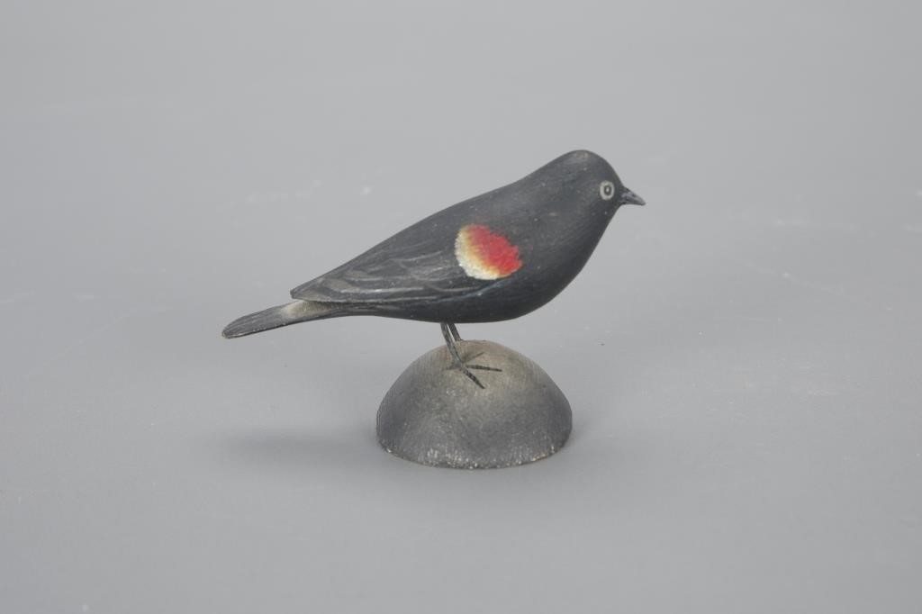MINIATURE RED-WINGED BLACKBIRDA.