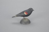 MINIATURE RED-WINGED BLACKBIRD