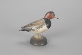 MINIATURE REDHEADA. Elmer Crow