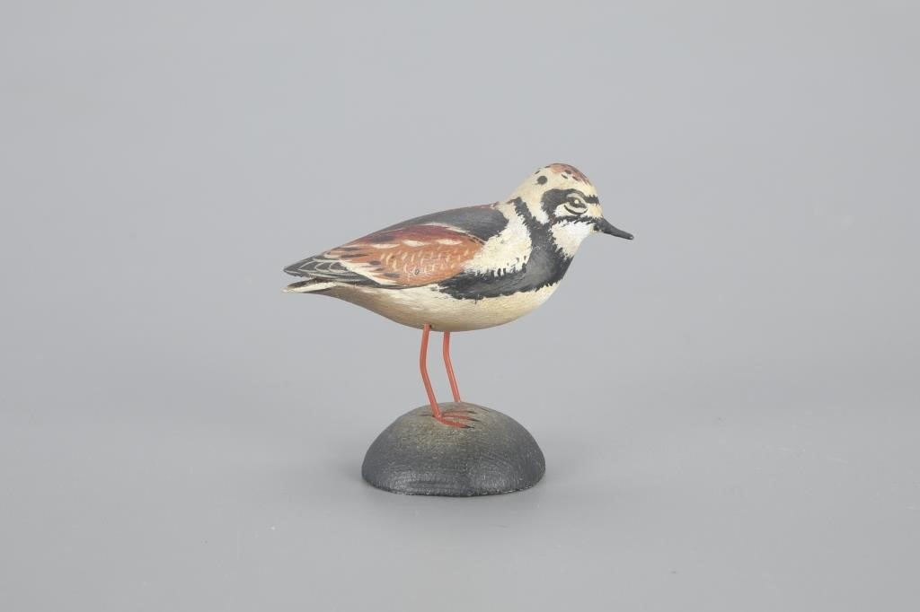 MINIATURE RUDDY TURNSTONEA. Elmer