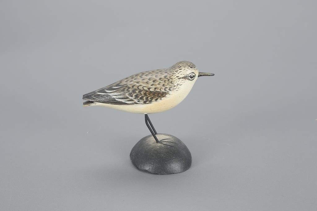 MINIATURE SANDERLINGA. Elmer