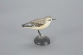 MINIATURE SANDERLINGA. Elmer C