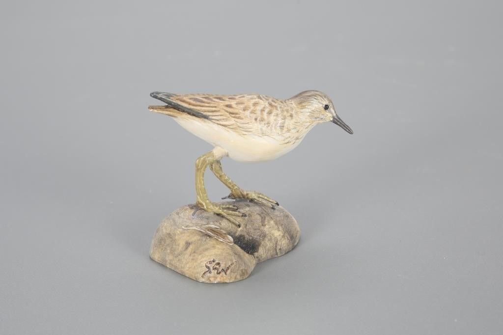 MINIATURE SANDERLINGSteve Weaver