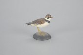 MINIATURE SEMI-PALMATED PLOVER