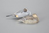 MINIATURE SLEEPING PINTAIL PAI