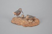 MINIATURE WOODCOCK FAMILYAllen