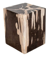 MINIMALIST PETRIFIED WOOD SIDE