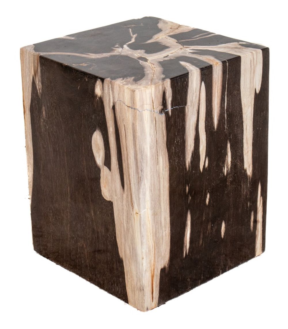 MINIMALIST PETRIFIED WOOD SIDE
