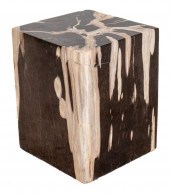 MINIMALIST PETRIFIED WOOD SIDE