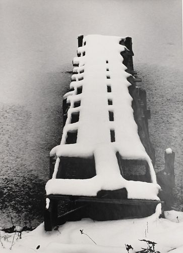 MINOR WHITE (AMERICAN