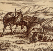 MINTON WILLIAM WISE GOAT TILE