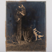 MISCELLANEOUS GROUP OF SEVEN P