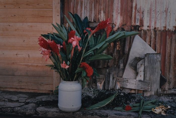 MITCH EPSTEIN (b. 1952): MOULE