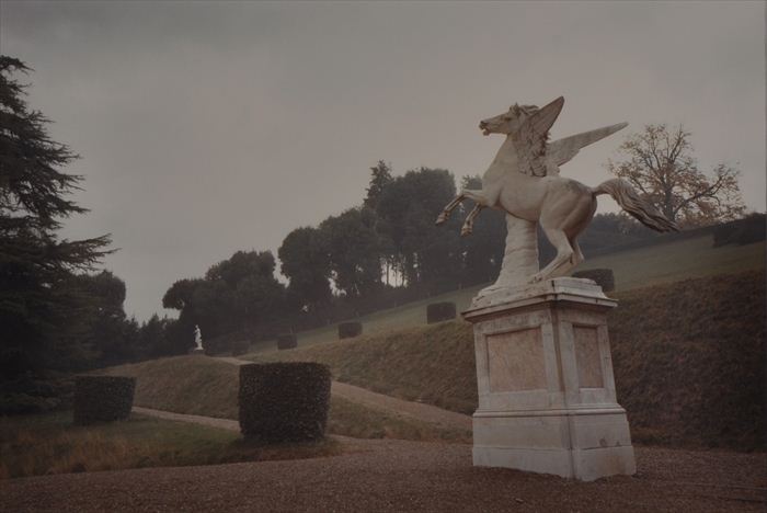 MITCH EPSTEIN (b. 1952): "PEGASUS