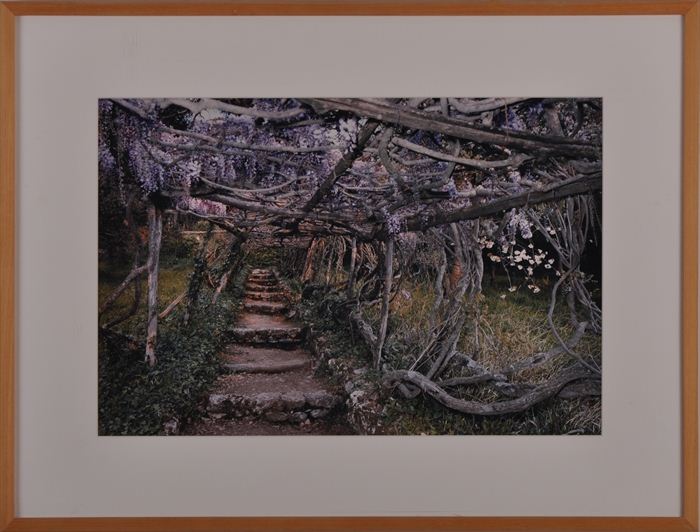 MITCH EPSTEIN (b. 1952): "VILLA