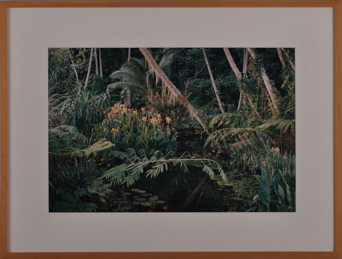 MITCH EPSTEIN (b.1952): "TAHITI "