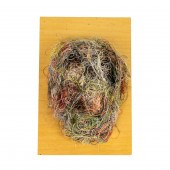 MIXED MEDIA, KATHRYN SPENCE Ka