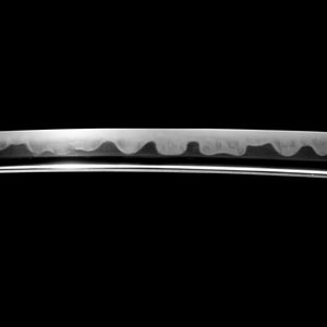 Miyairi Norihiro Modern a wakizashi