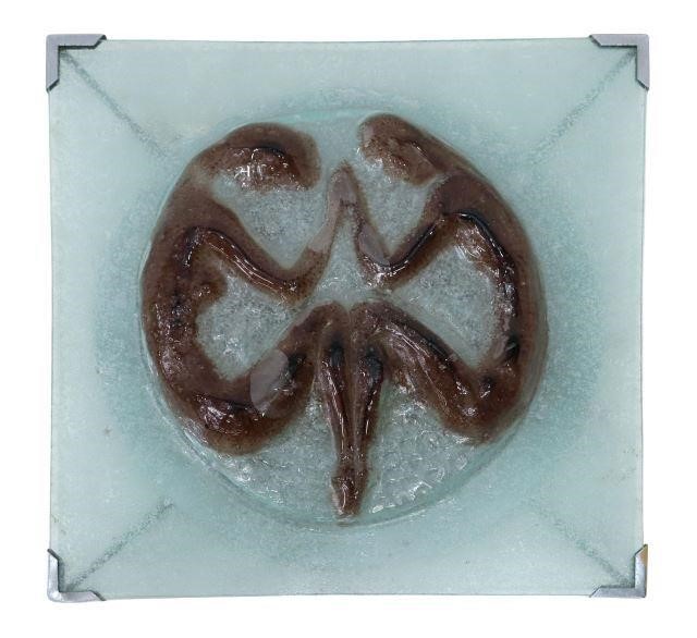 MODERN ART GLASS FLUSH-MOUNT