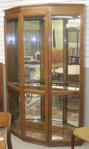 MODERN CURIO DISPLAY CABINET