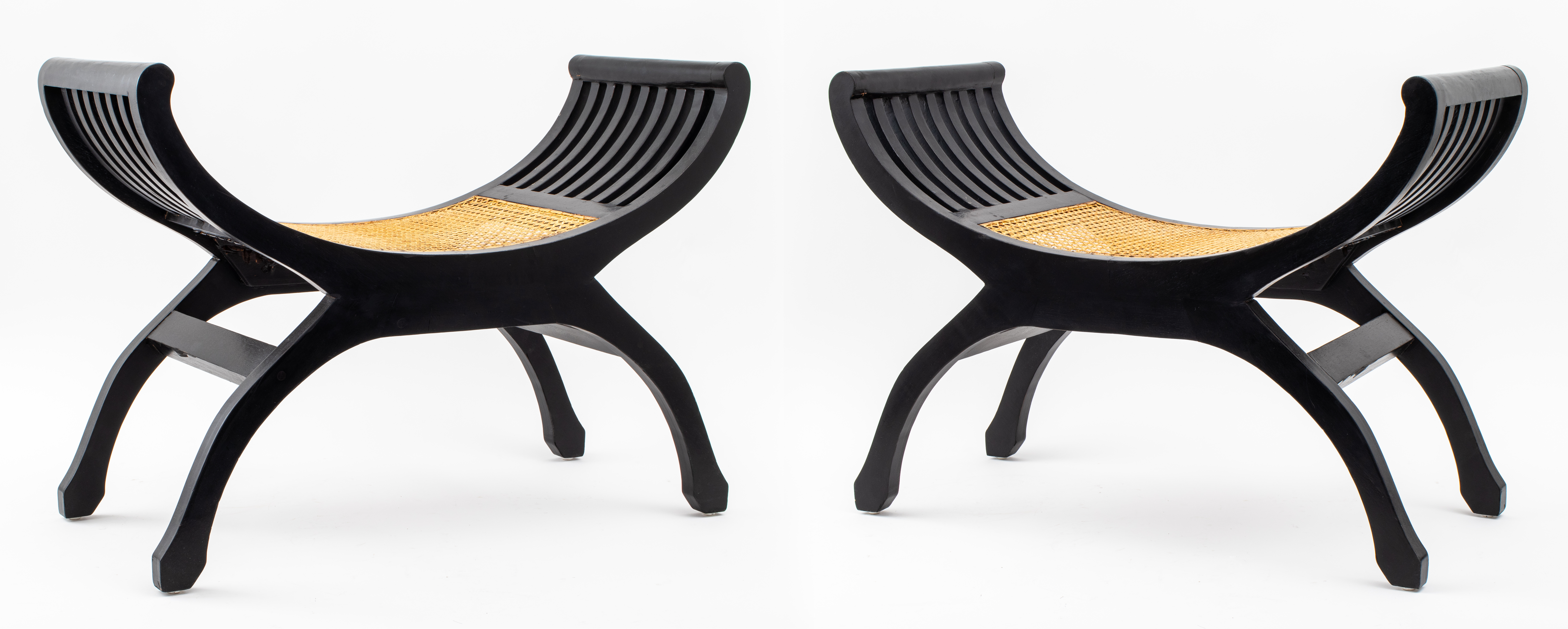 MODERN CURULE  BENCHES IN