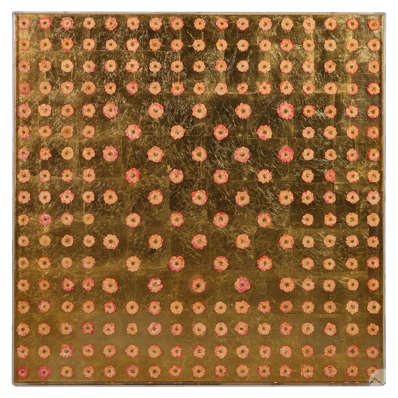 MODERN DRIED FLOWER ACRYLIC