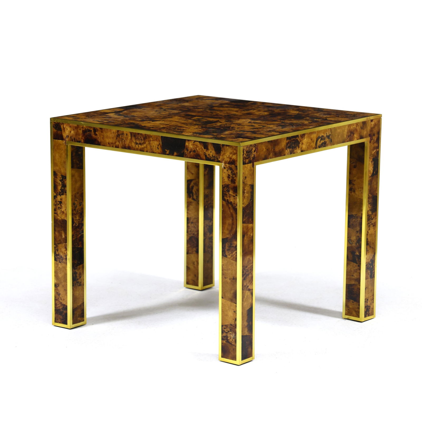 MODERN HISTORY, FAUX TORTOISE SHELL