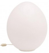 MODERN LAUREL (ATTRIB.) EGG-SH