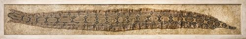 MODERN MONUMENTAL SNAKESKIN IN