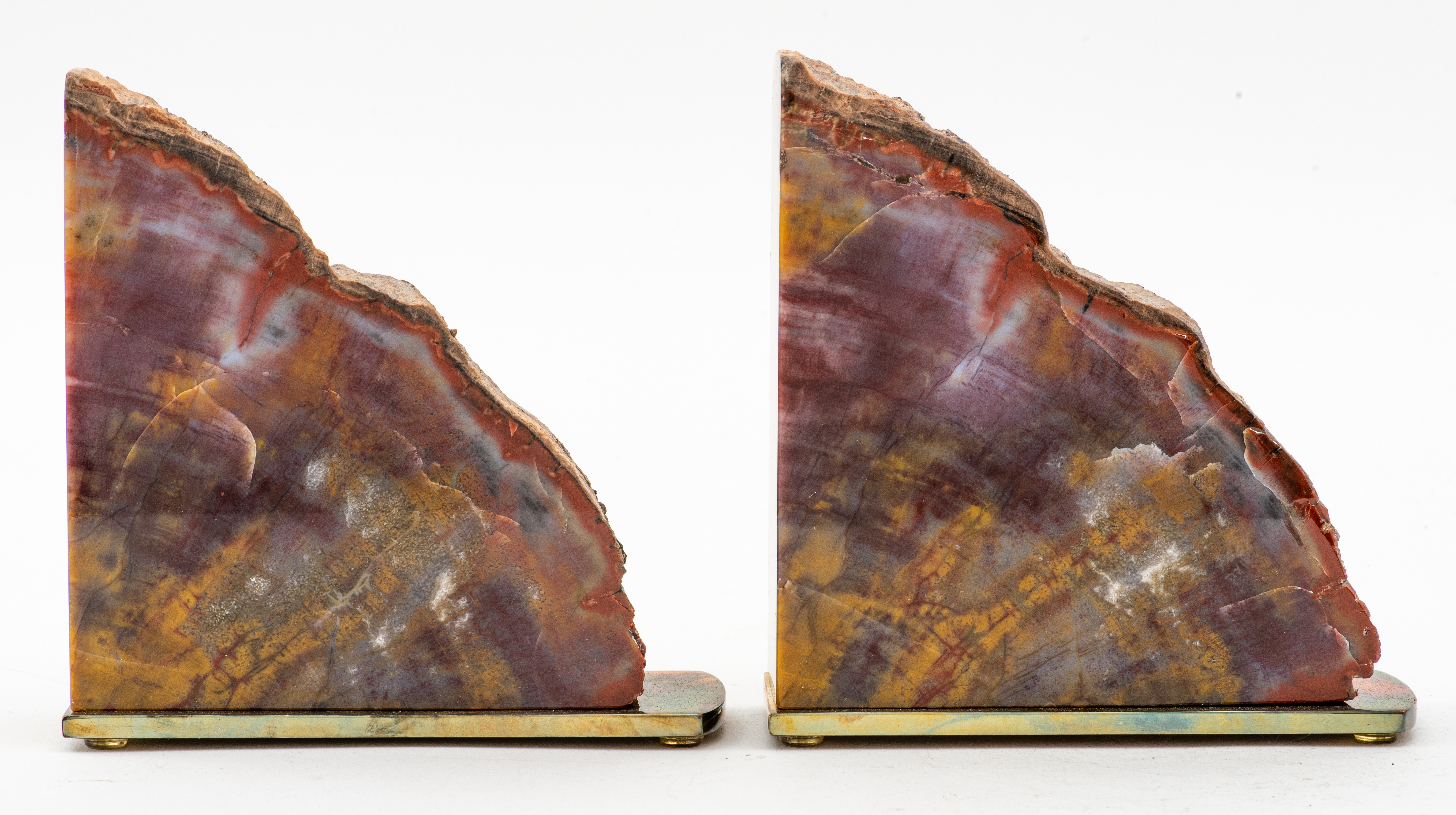 MODERN POLISHED PETRIFIED WOOD