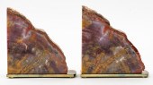 MODERN POLISHED PETRIFIED WOOD