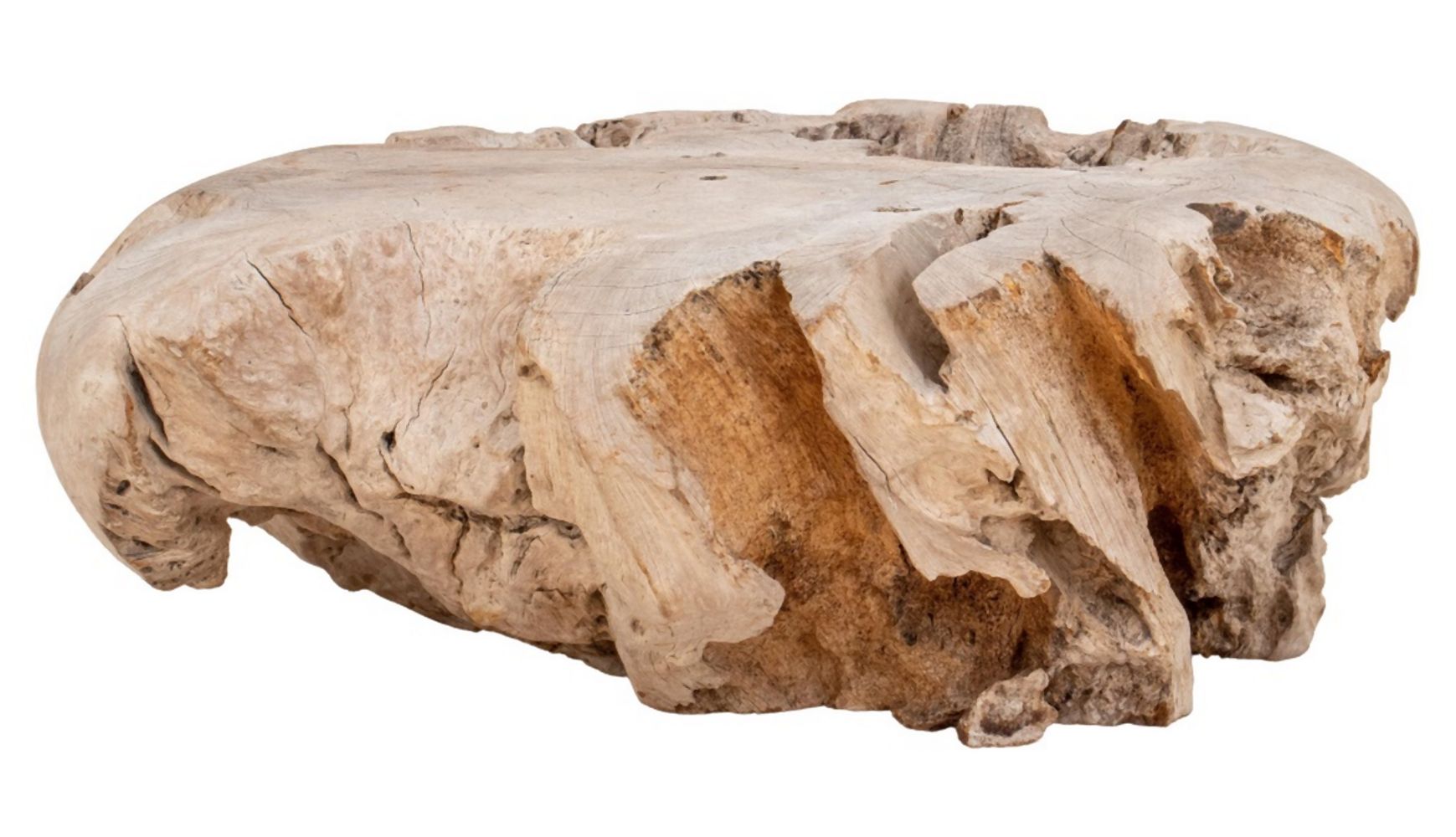 MODERNIST DRIFTWOOD STUMP LOW TABLE
